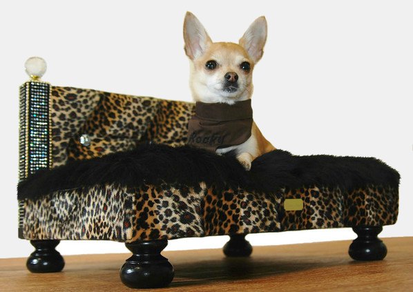 Rocky Noble Luxury Dog Furniture at Harrods by Lush Pups